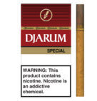 DJARUM FILTER CIGAR SPECIAL 10/12CT
