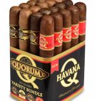 QUORUM TORO VARIETY 6X50      BDL20