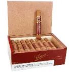 GISPERT ROBUSTO 5X54          BOX25