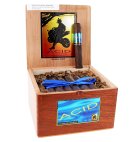 ACID KUBA MADURO 5X54         BOX24