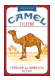 CAMEL REGULAR FSC        NON-FILTER