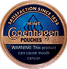 COPENHAGEN MINT POUCH          5CAN