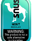 CAMEL SNUS POUCH MINT           5CT