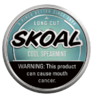 SKOAL SPEARMINT LC             5CAN