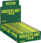 HOUSEPLANT OCB BAMBO 1-1/4 PPR 24CT