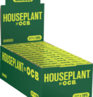HOUSEPLANT OCB BAMBO 1-1/4 TIP 24CT