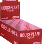 HOUSEPLANT OCB RICE 1-1/4 TIPS 24CT