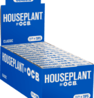 HOUSEPLANT OCB CLSC 1-1/4 TIPS 24CT