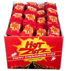 ZOTZ CINNAMON FIZZ             24CT