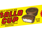 BOYER MALLO CUP GIANT          24CT