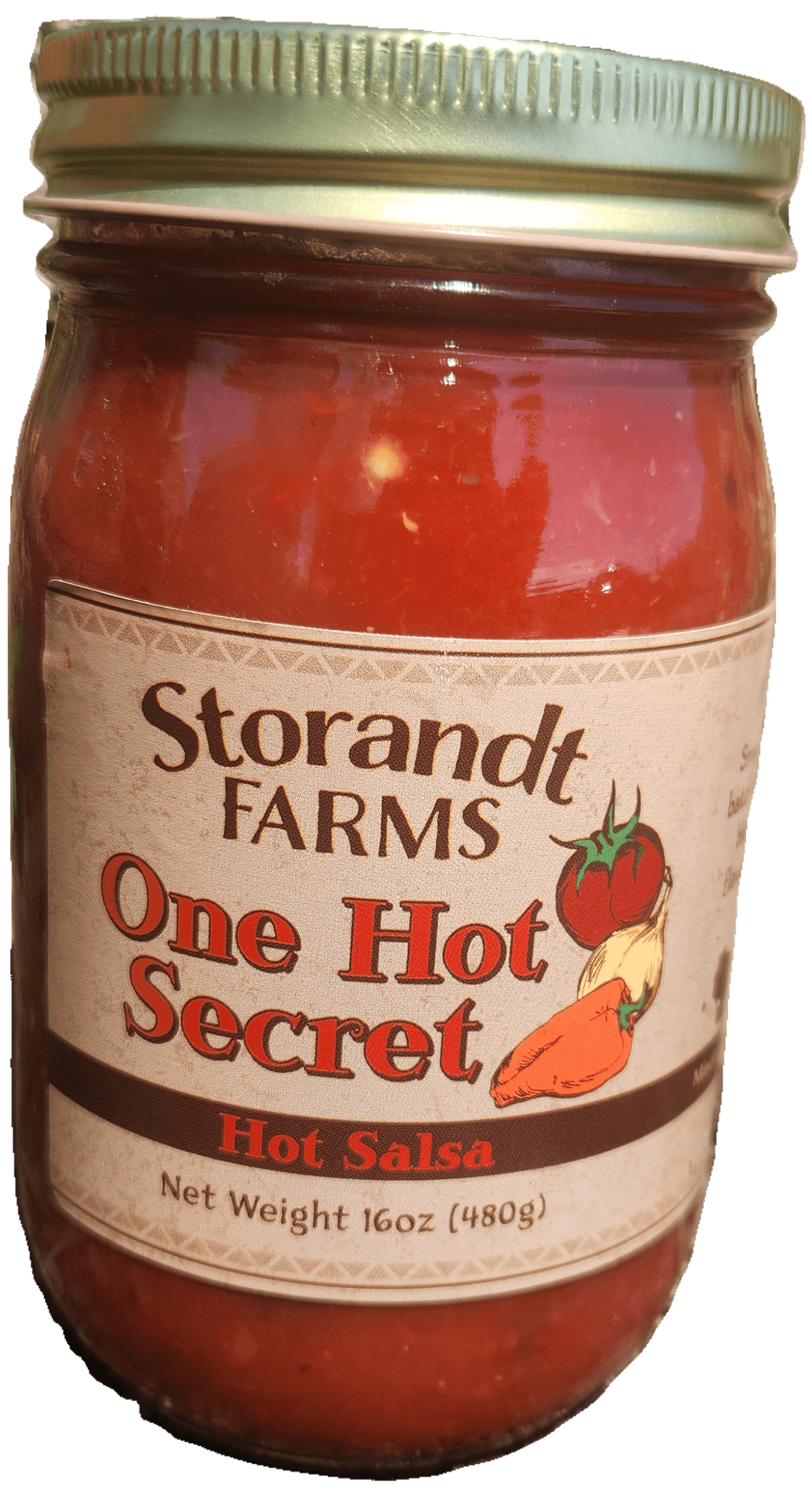 SALSA HOT ONE HOT SECRET 12CT