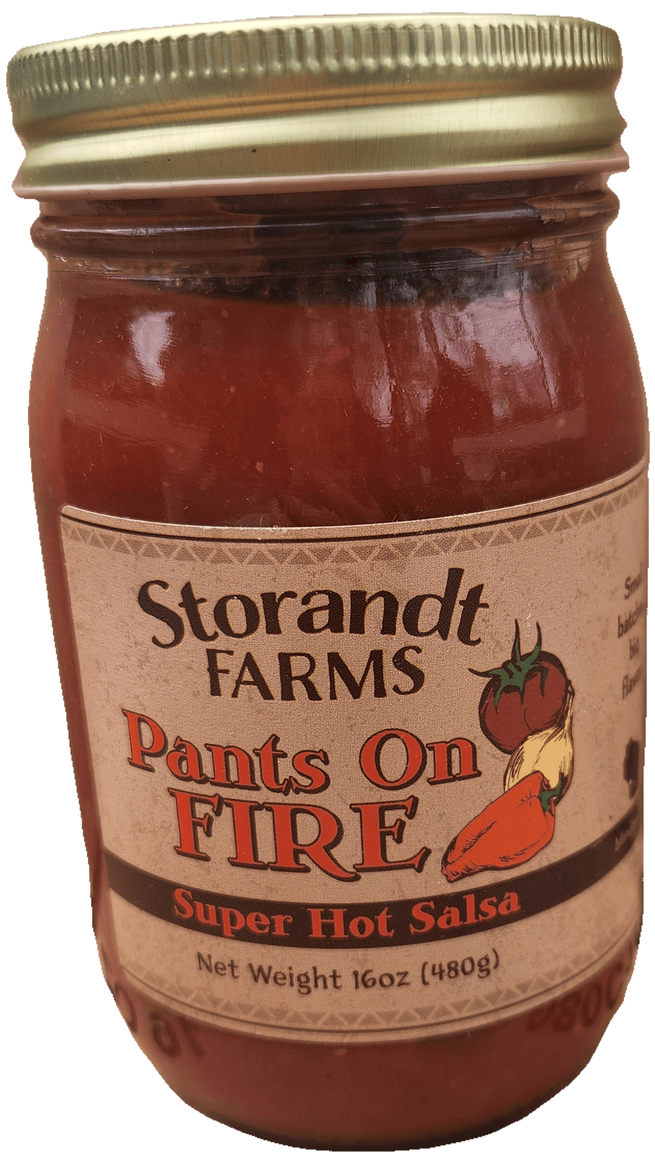 SALSA SUPER HOT PANTS ON FIRE 12CT