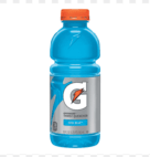 GATORADE WIDEMO COOL BLUE   24/20OZ