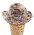 ICE CREAM LADY BUG 316 3/48OZ