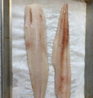 FISH STHRN BLUE WHITING FILLET  10#