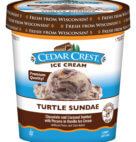 ICE CREAM TURTLE SUNDAE PINT    6CT