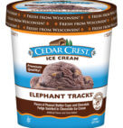 ICE CREAM ELEPHANT TRCKS PNT    6CT