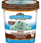 ICE CREAM MINT CH CHIP PINT     6CT