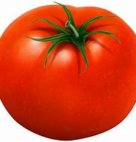 TOMATO 5X6                      10#