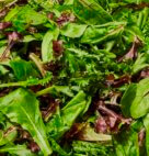 MESCLUN SPRING MIX               3#