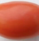 TOMATOES ROMA 5#