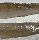 FISH ZANDER PIKE PERCH FILET   11#