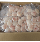 FISH ZANDER PIKE PERCH CHEEKS   10#