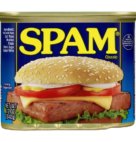 SPAM                          12 OZ