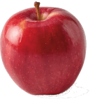 APPLE GALA                    113CT