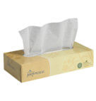 TISSUE FACIAL GP 2PLY #48100 30/100