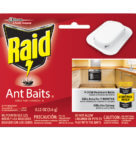 RAID ANT BAIT                   4CT