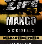 CITY LIFE CIG MANGO 5/1.49     15CT